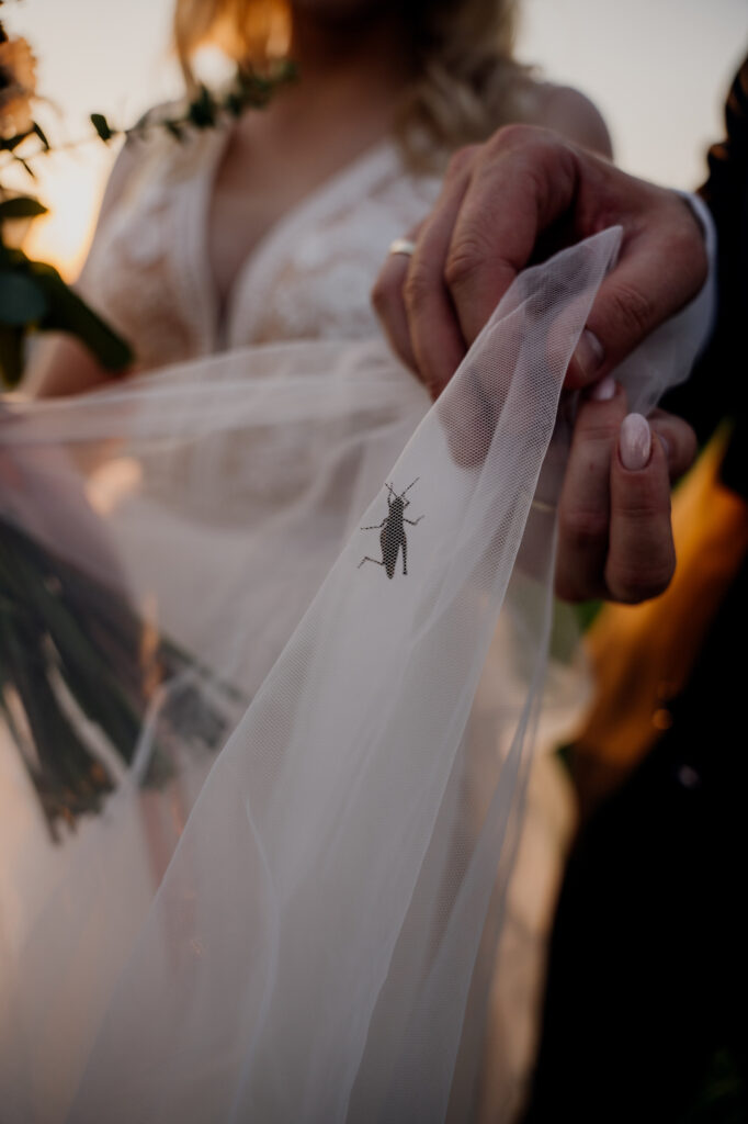 Stare Polaszki ślub plenerowy wesele na Kaszubach