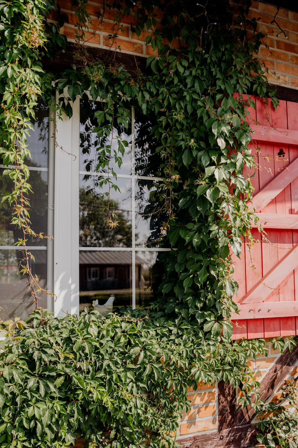 Stare Polaszki ślub plenerowy wesele na Kaszubach